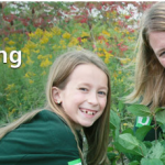 Environmental Grants
